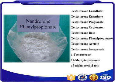 Muscle Growth Raw Steroid Powders Npp Hormone Nandrolone Phenylpropionate For Sale