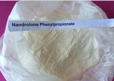 সাদা পাউডার Nandrolone স্টেরয়েড / Durabolin Nandrolone Phenylpropionate CAS 62-90-8